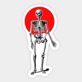 Standing human skeleton halloween Sticker